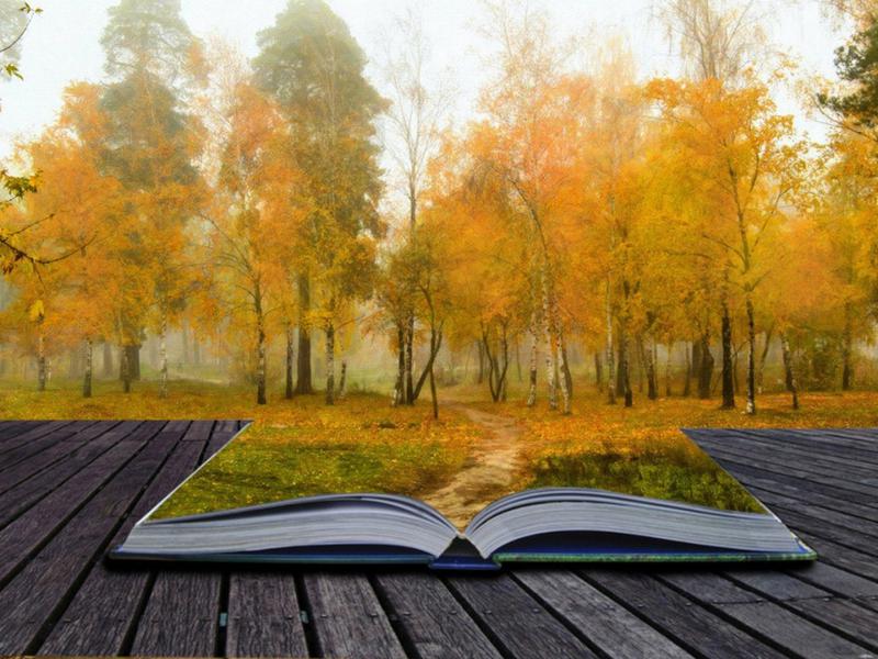 Литературная карусель «Осенних красок хоровод»