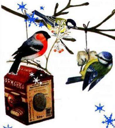 Экологический час «Помоги птицам зимой»