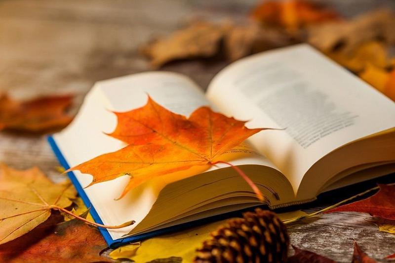 Литературно-поэтический калейдоскоп «Осень бывает разная: Книжная…Жёлтая…Красная»