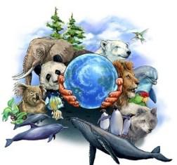 Виртуальное путешествие «О редких животных Земли»