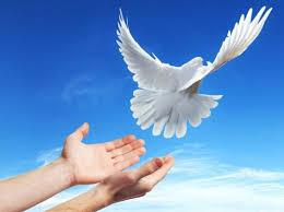 Мастер-класс по изготовлению бумажных голубей «Белый голубь-символ мира»