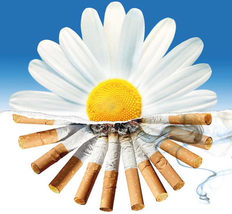 Час здоровья «Скажи сигарете «НЕТ!»