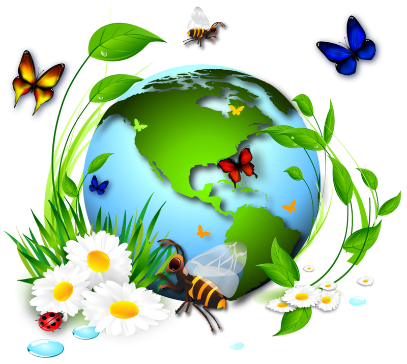 Час информации «Экологические катастрофы мира»